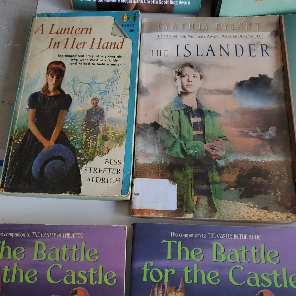 Lot of 22 Books Level 6/7 RL Misc Titles MIX Youth Teacher Library Homeschool‎